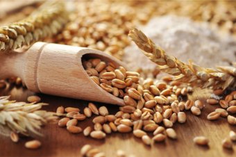 Kohlenhydrate in der t&auml;glichen Ern&auml;hrung - was jeder Sportler wissen muss!