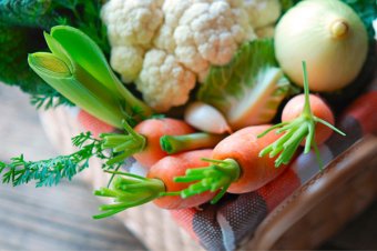 Vegane Ern&auml;hrung - Vorteil oder Risiko?