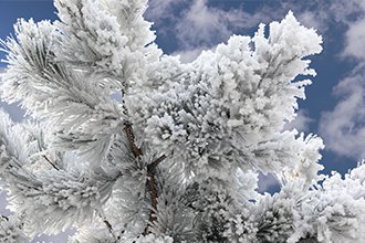 Die kalte Jahreszeit ist Erk&auml;ltungszeit - vorbeugen hilft!